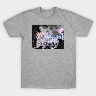 POM POM SQUAD T-Shirt